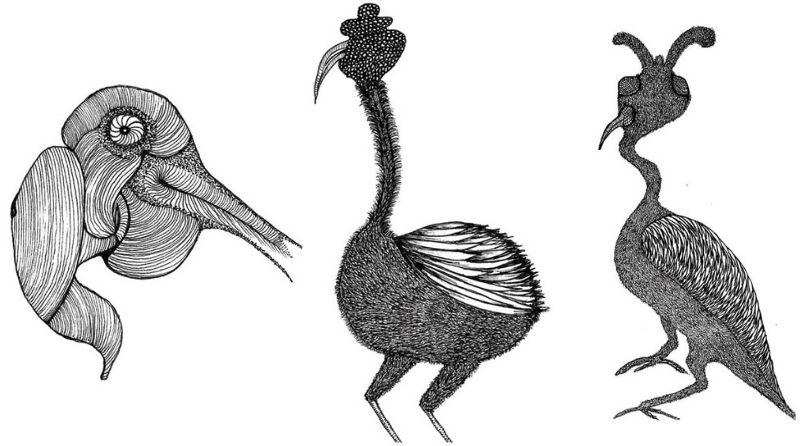 Obras do artista Edson Macalini