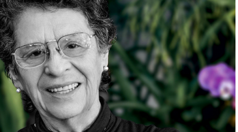 Em "Quintas Dialógicas" Maria Valéria Rezende falará sobre sua obra "Carta à Rainha Louca"