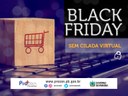 Black Friday: Acompanhamento em sites virtuais