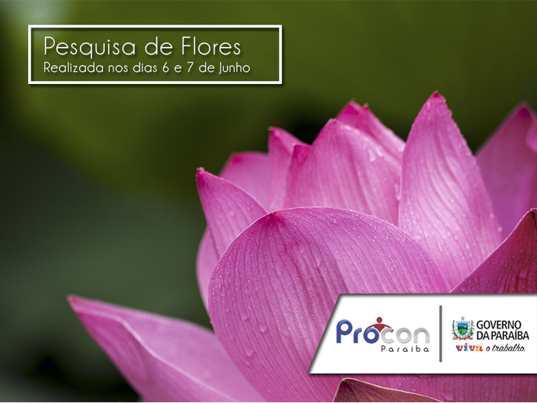 Pesquisa de Flores para o dia dos namorados