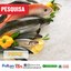 Confira a pesquisa de preço dos peixes que PROCON-PB realizou em João Pessoa