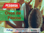 ovos de pascoa 2.png