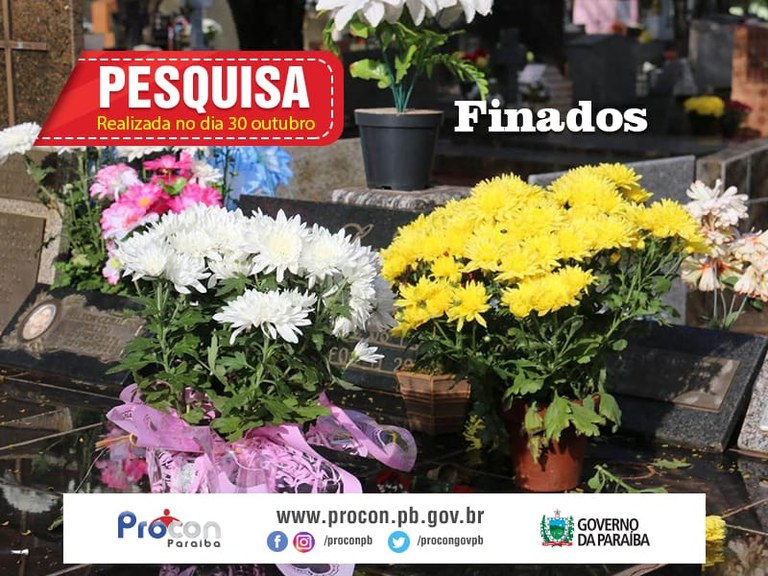 Pesquisa Procon-PB do Dia de Finados aponta variação de 400% no preço de haste da flor Lírio Branco
