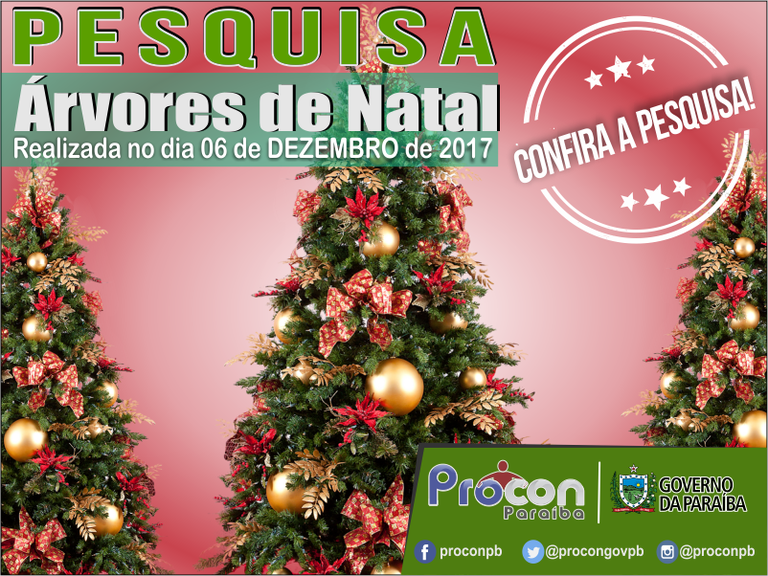 Preço da árvore de natal pode ser encontrada a partir de R$ 15