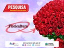 Preço de flores têm variação de até 400% em João Pessoa