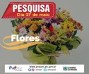 Preço de flores têm variação de até 900% em João Pessoa