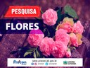 Preço de uma rosa vermelha chega a variar 275% em floriculturas de João Pessoa.jpg