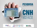Pesquisa realizada dias 10 e 11 de abril. CNH Carteira Nacional de Habilitação. Imagem ilustrativa de uma mão segurando uma carteira de habilitação.