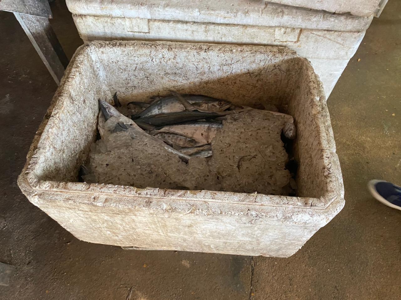 WhatsApp Image 2021-05-20 at 17.52.24.jpeg