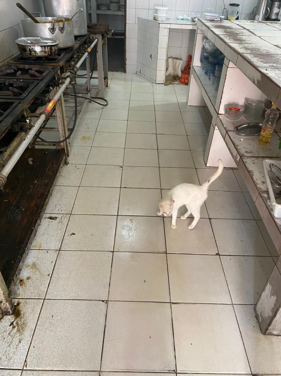 WhatsApp Image 2021-05-20 at 17.52.26 (1).jpeg