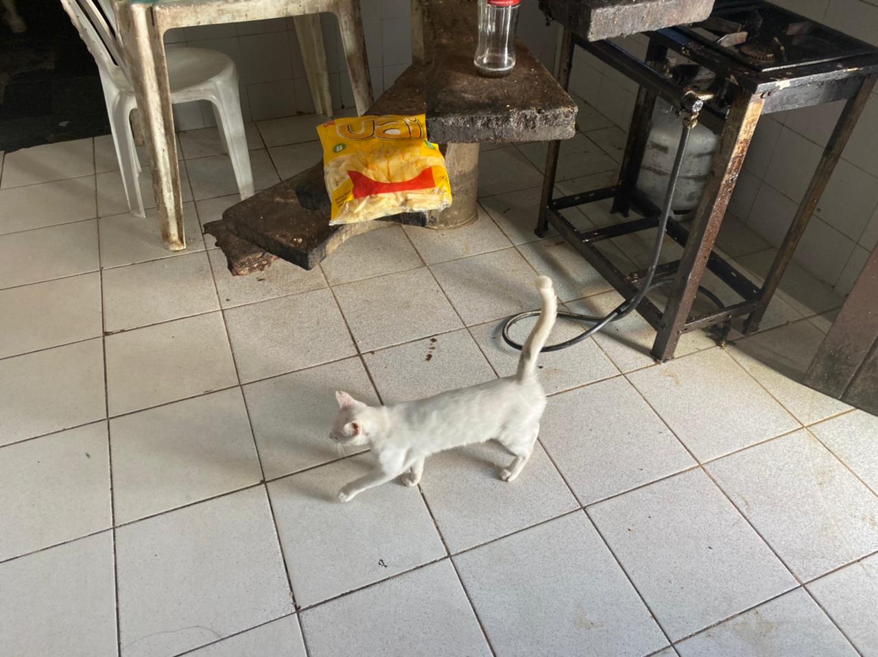 WhatsApp Image 2021-05-20 at 17.52.26.jpeg