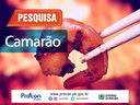 PESQUISA CAMARÃO