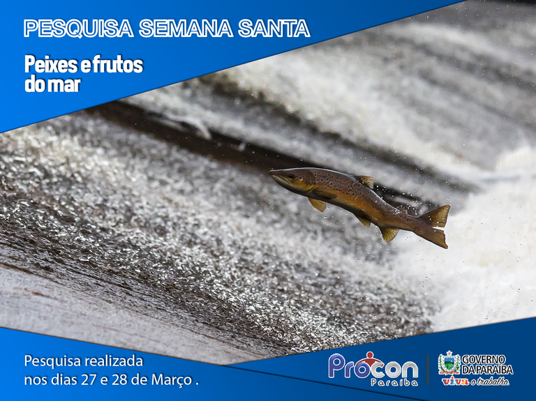 Pesquisas de peixes para semana santa