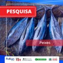 peixes.jpg