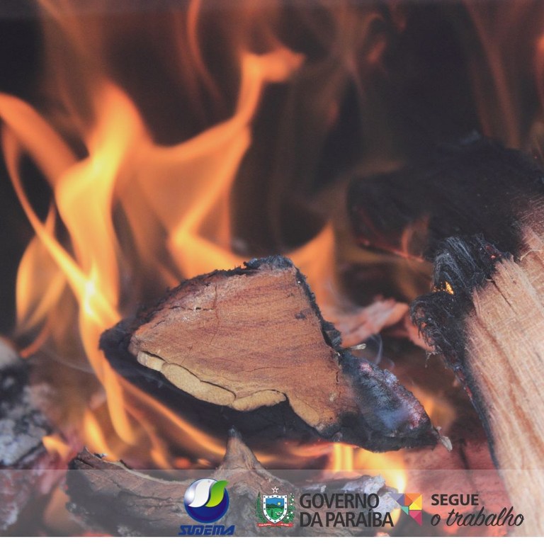 670 ª reunão ordinária do Copam (3).jpg