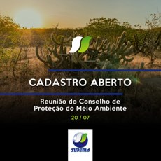 Copam realiza nova reunião virtual no próximo dia 20