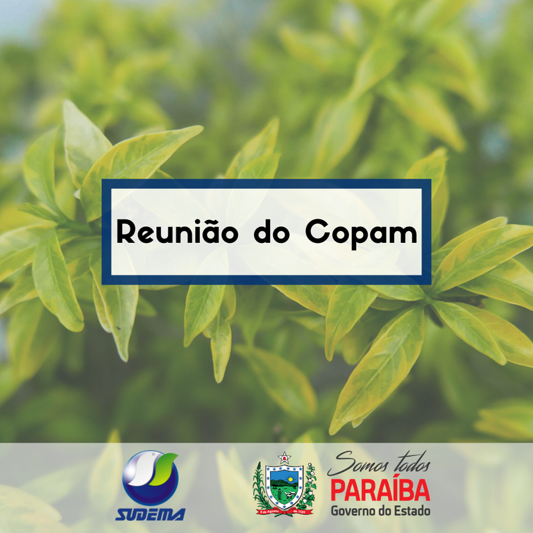 671 reunião do copam (2).png
