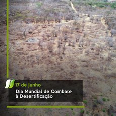Dia Mundial de Combate à Desertificação é celebrado nesta quinta (17)