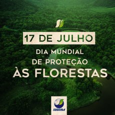 Dia Mundial de Proteção às Florestas é comemorado neste sábado