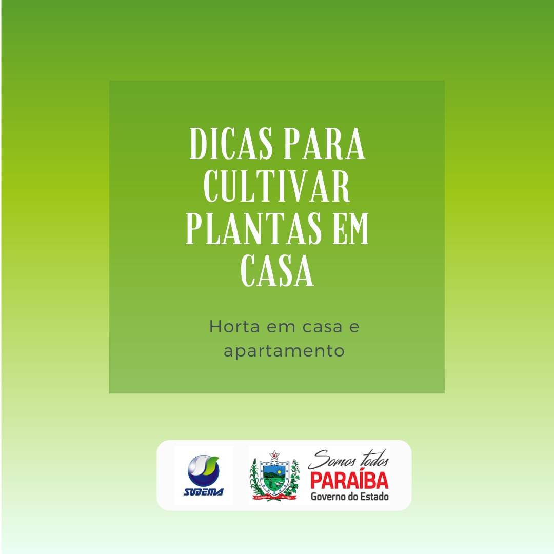 WhatsApp Image 2020-05-29 at 11.55.39(1).jpeg