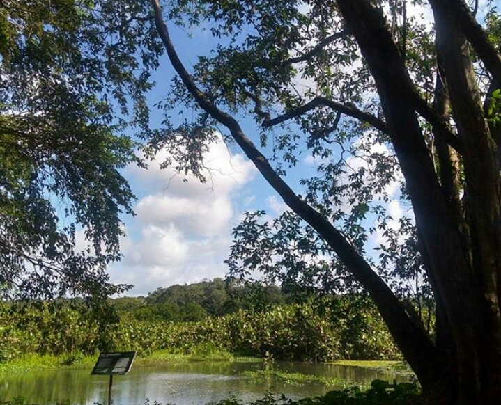 WhatsApp Image 2020-08-31 at 15.39.23.jpeg