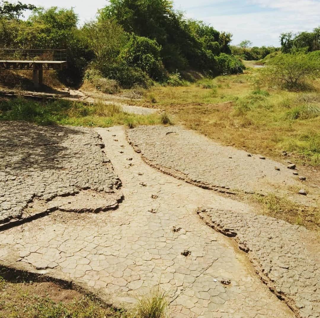 WhatsApp Image 2021-01-13 at 14.50.03.jpeg