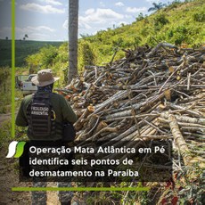 Operação Mata Atlântica em Pé identifica seis pontos de desmatamento na Paraíba