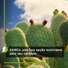 PANCs: uma boa opção nutricional para seu cardápio
