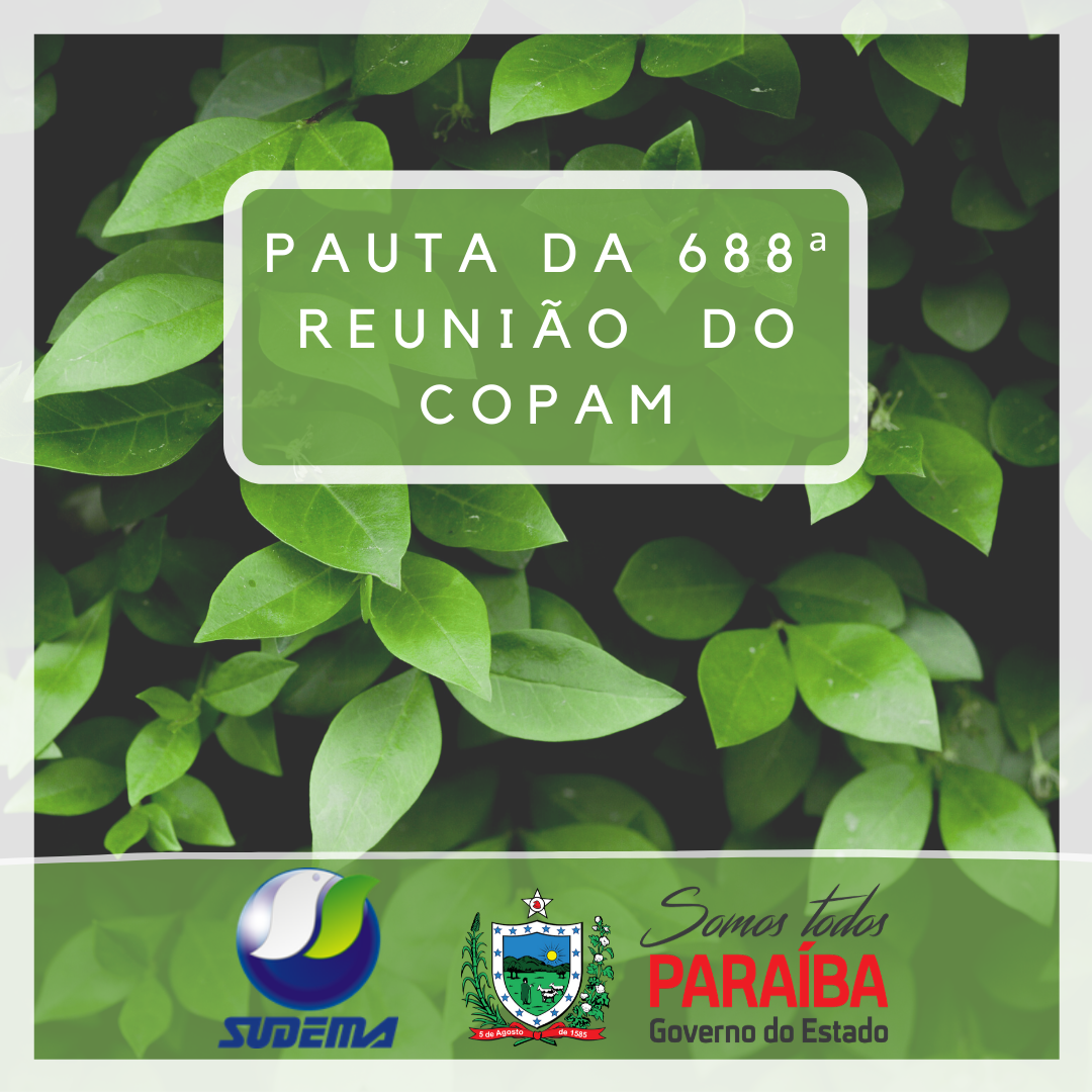 pauta da 688ª reunião do copam.png