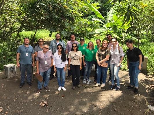 projeto nascentes.jpeg