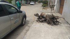 Sudema dá início à operação São João Sem Fogueiras