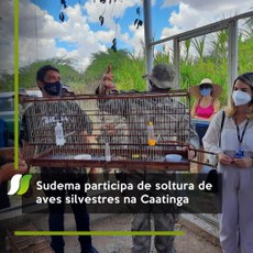 Sudema participa de soltura de aves silvestres na Caatinga