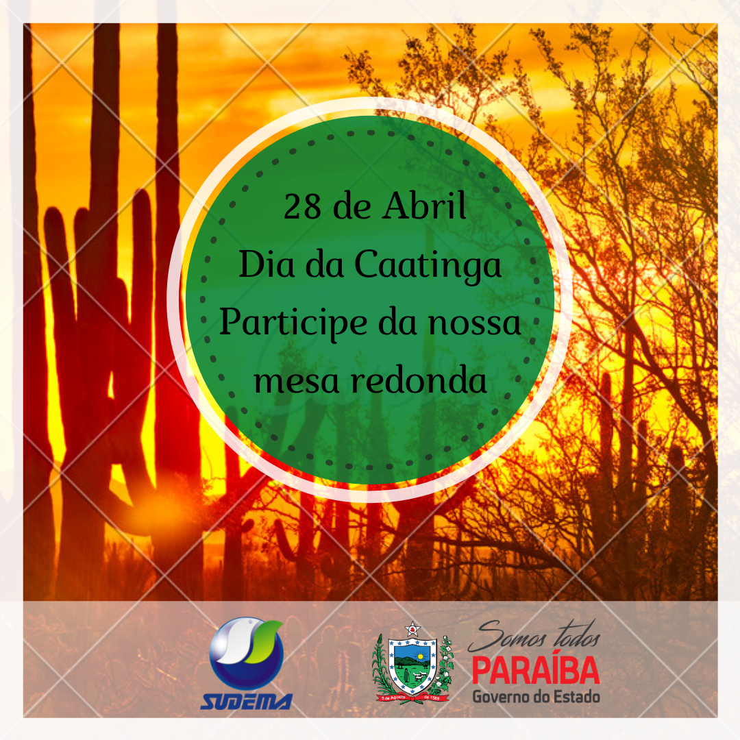 sempre há um lado bom (10).png