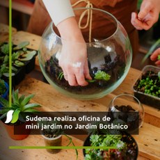 Sudema realiza oficina de mini jardim no Jardim Botânico