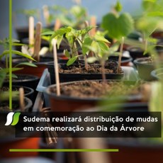 Sudema realizará distribuição de mudas em comemoração ao Dia da Árvore
