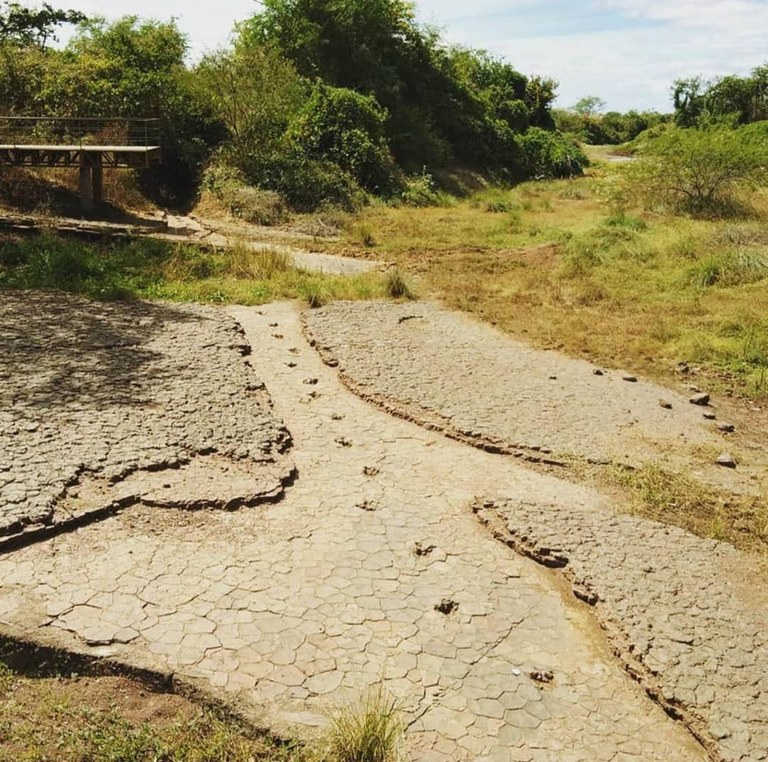 WhatsApp Image 2021-01-13 at 14.50.03.jpeg