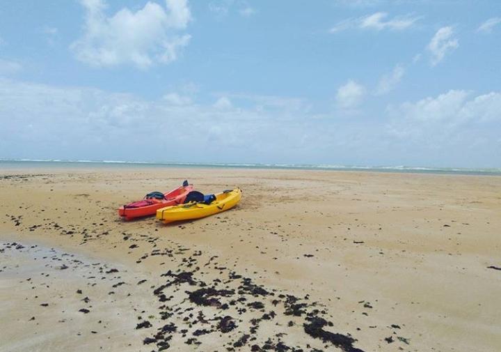 WhatsApp Image 2020-03-20 at 10.17.36.jpeg