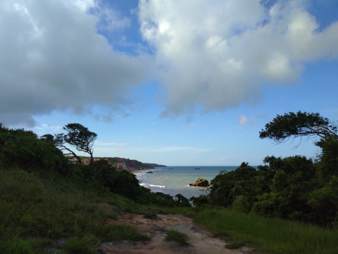 WhatsApp Image 2020-07-31 at 12.04.28.jpeg