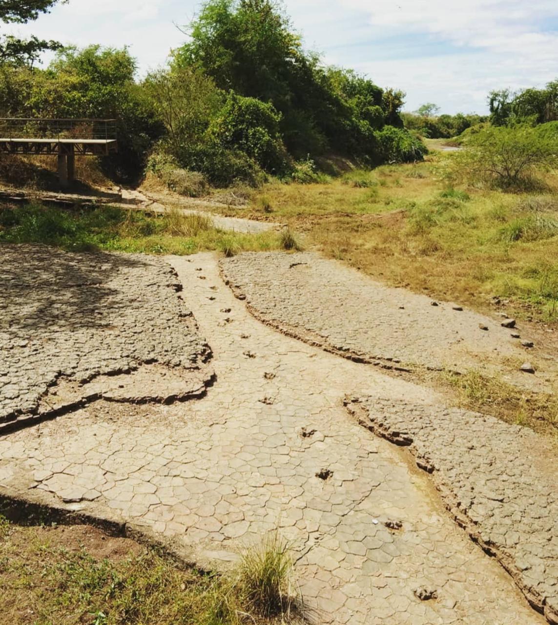 WhatsApp Image 2020-09-03 at 13.31.21.jpeg