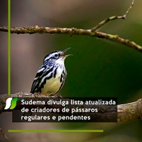 Sudema divulga lista atualizada de criadores de pássaros regulares e pendentes